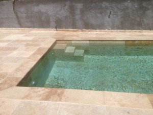 IMG_0569
